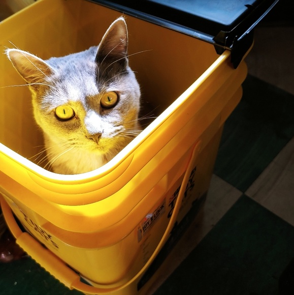 Meet your Posher, Barbara - Picture 1 of 1